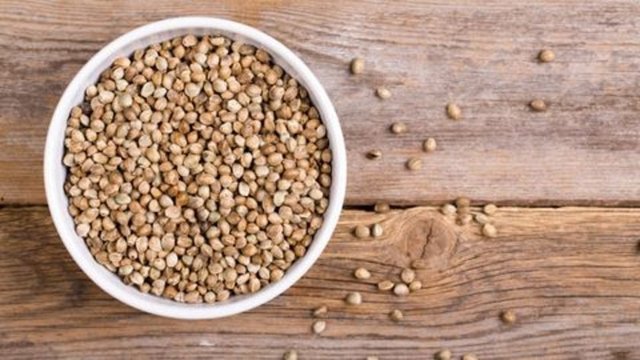 Kan Şekerini Düzenler