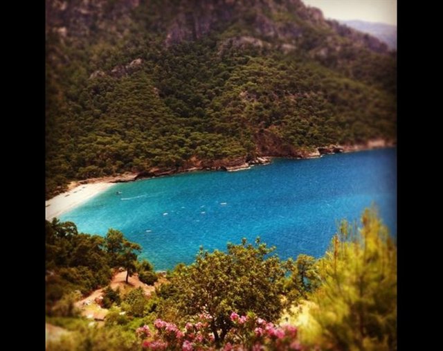 Kabak Koyu, Ölü Deniz