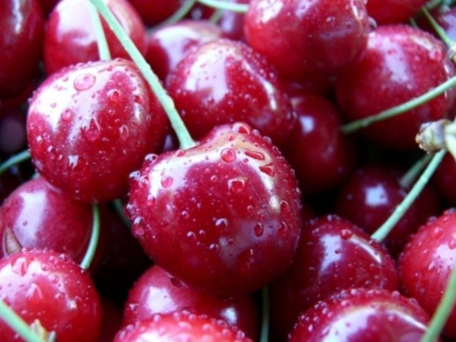 - Fakat dozuna dikkat edilmeli, kronik rahatsızlıkları bulunan kişiler tüketmemelidir.