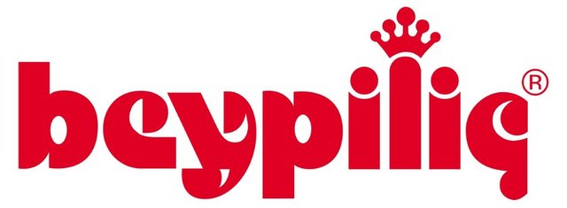 89 - BEYPİ Beypazarı Tarımsal Üretim Pazarlama San. ve Tic. A.Ş. (869.182.275 TL)