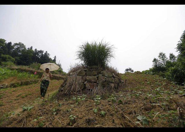 -  - Heshanlı bir kadın, kanserden ölen bir kurbanın mezarı yanında. -  -  -