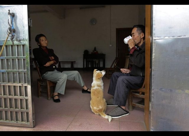 71 yaşındaki Xiong Demin, karısı Wen Jin ile birlikte kahvaltı ediyor. -  -