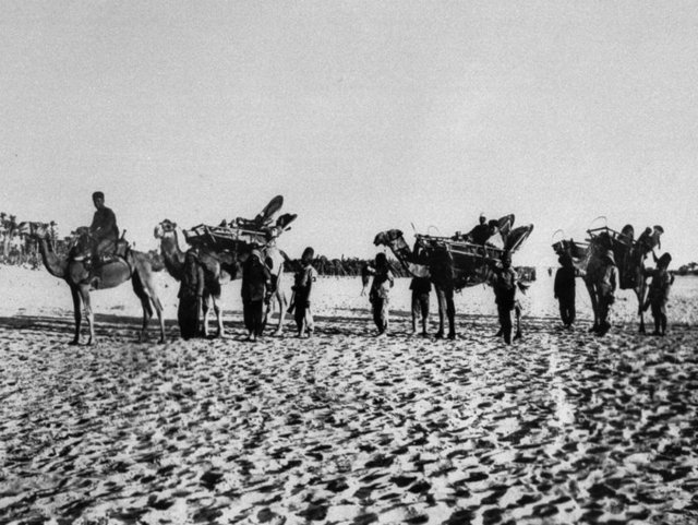 Türk askerinin Suriye Cephesi'ndeki mücadelesinden bir kare