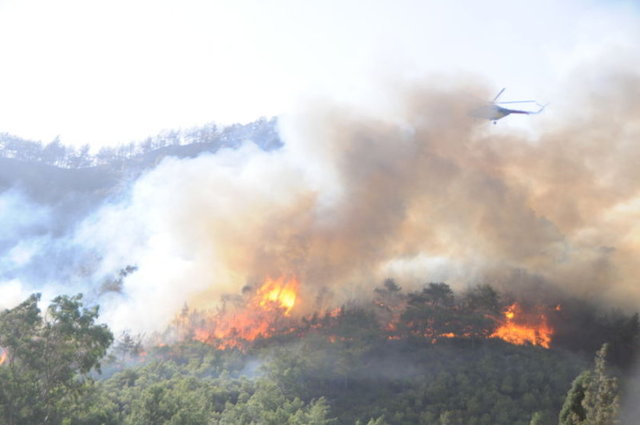 Kriz masasının verdiği bilgiye göre saat 19.30 itibariyle alevlerin 50 hektarlık alanda etkili olduğu belirtildi. Alevleri kontrol altına almak için ekiplerin havadan ve karadan müdahalesi devam ediyor.  -  - DHA