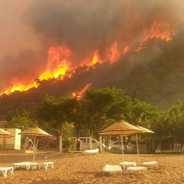 Tesislerde bulunan yerli ve yabancı turistler çığlık atarak kaçtı. Bölgeyi kaplayan yoğun duman nedeniyle nefes almakta güçlük çekilirken, bir pansiyon sahibinin, '2 İngiliz turist odada kaldı, çıkamadı' haykırışları paniğe neden oldu.
