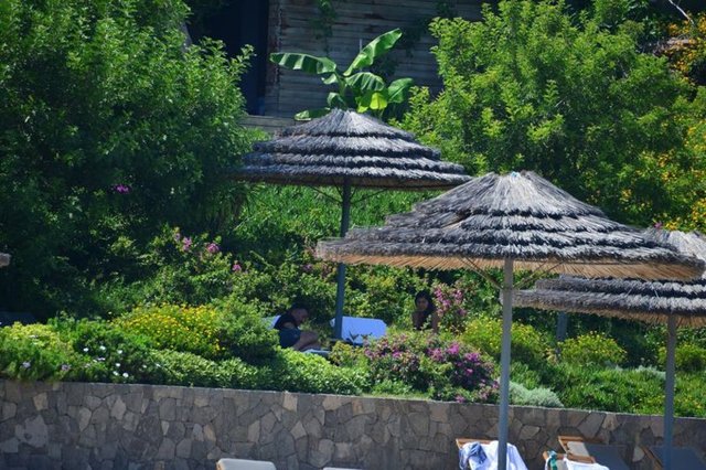 Ünlü komedyen fotoğraflarının çekildiğini fark eder etmez bikinisiyle güneşlenen kız arkadaşına siper oldu.