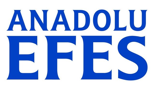 16-ANADOLU EFES SANAYİİ A.Ş.-9.195.773.000