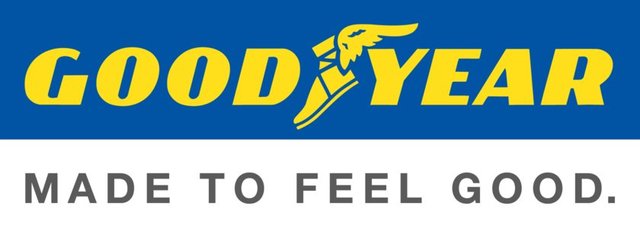 64-GOODYEAR LASTİKLERİ T.A.Ş.  19.696.933