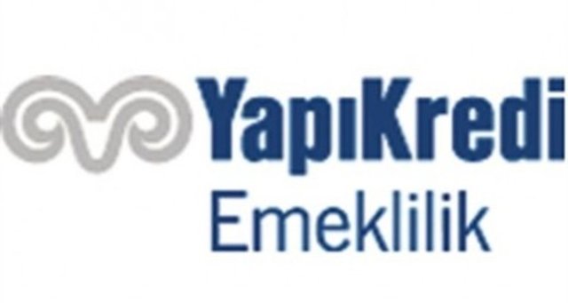 100- YAPI KREDİ EMEKLİLİK ANONİM ŞİRKETİ  13.848.609