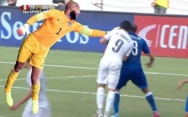 Taraftarlar, Beyaz Saray'ın sitesine istek dilekçesi gönderirken, "Howard'ın ABD için yaptığı unutulmaz hizmetlerinden dolayı Ronald Reagan Havaalanı'nın isminin Tim Howard Havaalanı olarak değiştirilmesini talep ediyoruz" ifadelerini kullandı