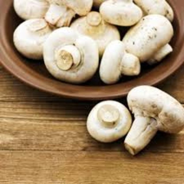 Pekşen, mantarlar adına çeşitli etkinlikler ve festivaller düzenlendiğini de belirterek, kültür mantarının kaynağının doğa mantarı olduğunu ifade etti