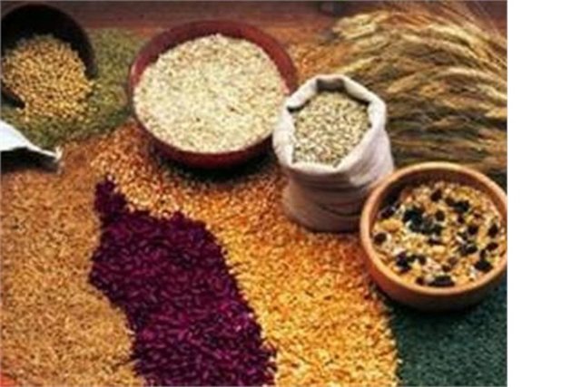 17. Erden Gıda Sanayi - Kuruluş Yılı: 1878