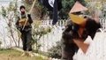 Terör kampının eğitim sistemi deşifre oldu!