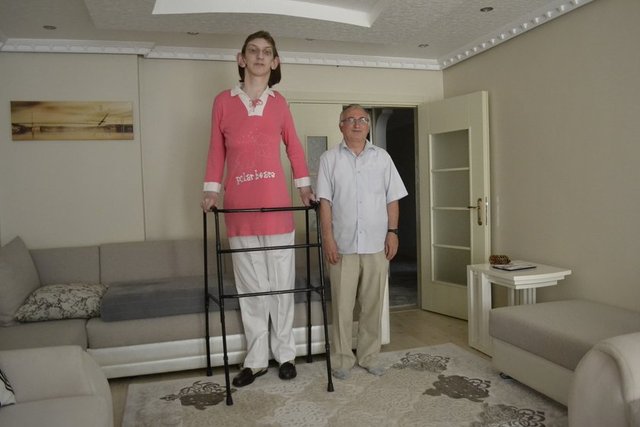 Yaklaşık 3 ay sonra kendisine cevap geldiğini ve Guinness yetkilileriyle yazışmalara başladığını ifade eden Gelgi, 2013'ün Aralık ayında yetkililerin kendisini Guinness Rekorlar Kitabı Türkiye Temsilcisi ve Hakemi Şeyda Subaşı Gemici'ye yönlendirdiğini bi