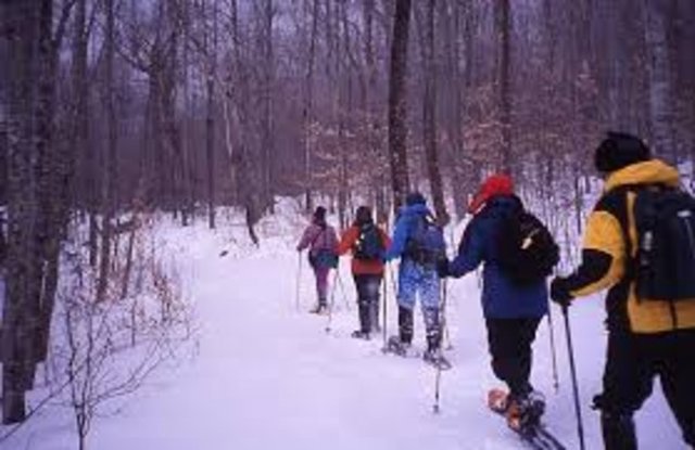 Snowshoeing (Karda yürüme) -   - Önceleri kar ayakkabıları avlanmak, tuzak kurmak, seyahat etmek ve sosyalleşmek için kullanılırdı