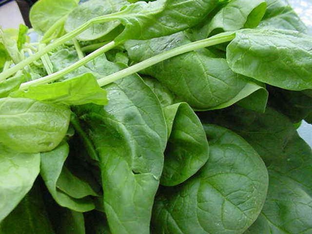 Magnezyum vücutta meydana gelen kimyasal reaksiyonlar için büyük önem taşıyor