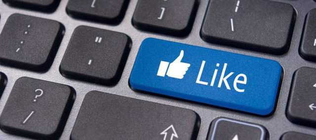 Her güvenlik hatası için tek bir para ödülü verilir.  -