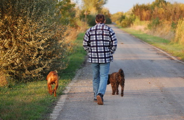 29. Bir köpekle (bir yandan onunla oyun oynayarak) 25 dakika yürü