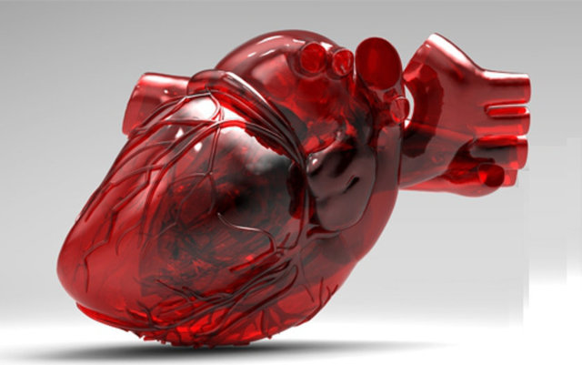 5. Kalbiniz yaklaşık 10 metre uzağa kan fışkırtabilir -  - İnsan kalbi inanılmaz güçlü bir organdır. Ürettiği basınç sayesinde, 30 feet, yani yaklaşık 10 metre uzağa kadar kan fışkırtabilir