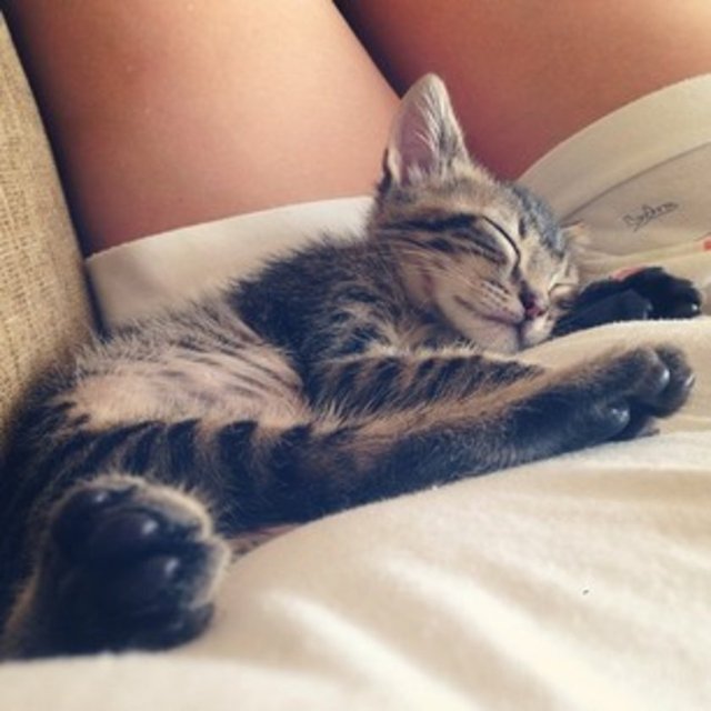 Ve ek olarak onlara dokunun, sarılın. Unutmayın, sevmek, dokunmak demektir!