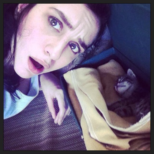 2. Evcil hayvanı kendiniz mi sahipleneceksiniz yoksa beraber yaşadığınız biri var mı?