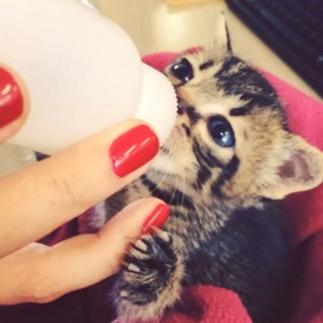 3. Ona her gün ne kadar vakit ayırabileceksiniz?