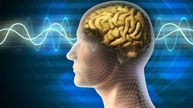 İnsan beyni dakikada 1000 kelime okuyabiliyor.