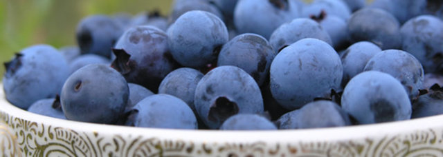 Yaban mersini: Diğer bir süper gıdalardan biri de yaban mersinidir. Lif, C ve A vitamini açısından zengin olan yaban mersininde bol miktarda antioksidan bulunuyor. Yaban mersini, kalp, gözler ve beyin gibi bebek vücudunun her parçası için sağlıklıdır