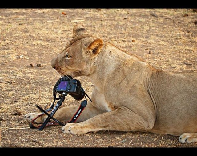 FOTOĞRAF - Arkadaş canlısı gözüken birİ yanınıza yaklaşıp fotoğrafınızı çekmeyi teklif eder. En iyi ihtimalle biraz para ister, en kötü ihtimalle fotoğraf makinenizi alıp kaçar BÜTÜN AVRUPA
