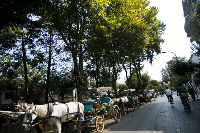 Kabataş, Kadıköy ve Bostancı'dan sürekli vapur ve deniz otobüsleriyle ulaşımın mümkün olduğu ada baharda erguvanlar, mor salkımlar ve binlerce çiçek çeşidi ile adeta bir cennet. Tam tur fayton turu sizlere adayı keşfettiriyor