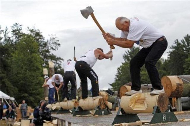 Oduncu - 2022'ye kadar oduncu sayısında yüzde 9 azalma olacak.