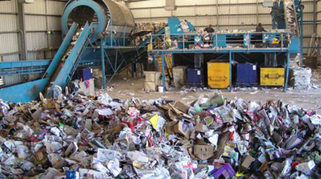 Rapora göre, yiyecek ve içecek ambalajları yakın gelecekte tamamen bitkilerden elde edilen selüloz ile üretilecek.