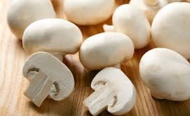 Meyve ve sebzeler, et, yumurtanın sarısı, mantar, tam tahıllar ve kuru bakliyat B5 açısından zengin besin kaynakları.