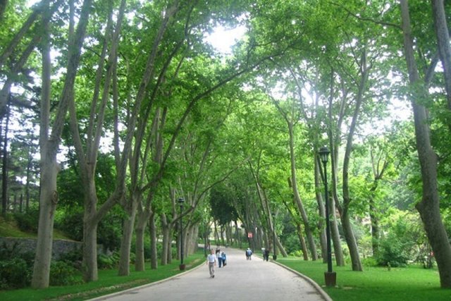 Gülhane Parkı