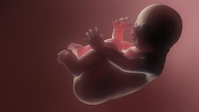 12 haftasında tiroksin seviyesi kaydedilen hamilelerden doğan bebekler 5 yaşına geldiğinde onların hem matematik hem de dil dersleri sonuçlarına bakıldı.  -