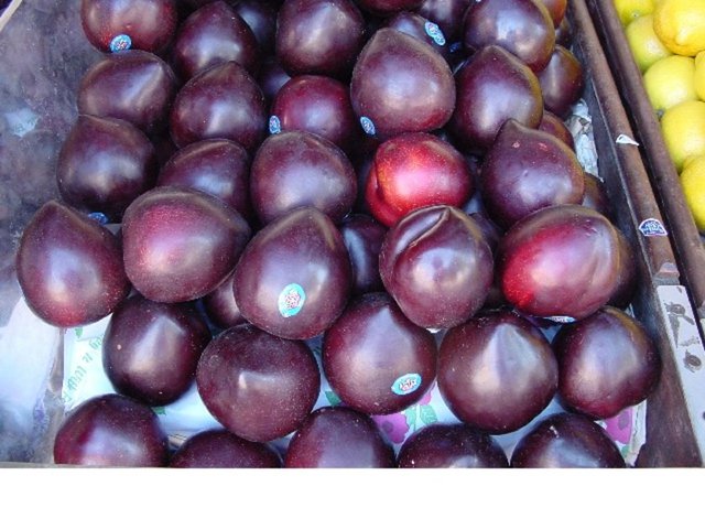 Antioksidan dolu olması ile Alzheimer gelişimini yavaşlatır.