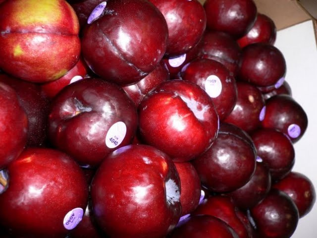 Kemik sağlığını iyileştirir. -