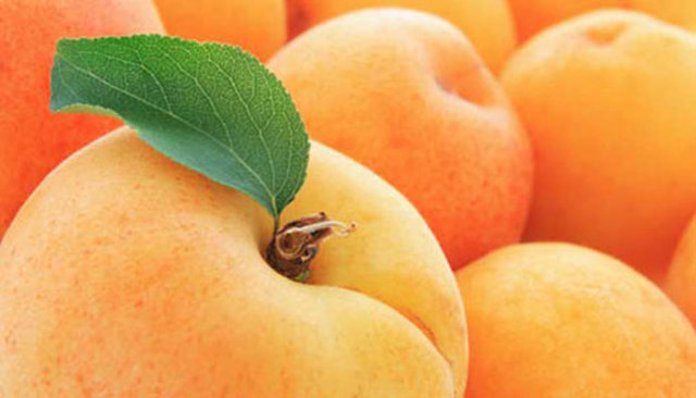 Beslenme problemi olan yaşlıların potasyum eksikliğine bağlı depresyon sorunlarının giderilmesinde de çok faydalıdır.