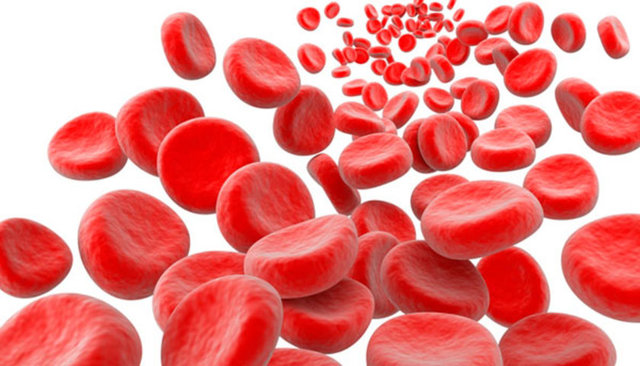 TIP dilinde anemi denilen kansızlık, kandaki kırmızı hücrelerin azalmasıdır.