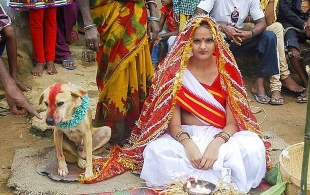 Köpekle evlenen kadın: Mangli Munda adındaki genç kızımız da üzerindeki uğursuzluk kalksın diye köpekle evlenme yöntemine başvurmuş.