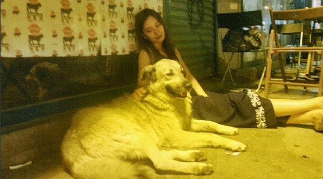 Neslihan Atagül'ün Instagram fotoğrafları