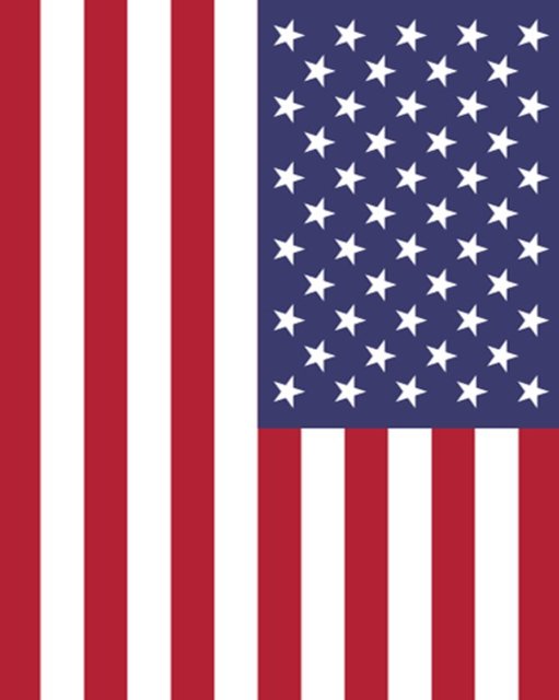 AMERİKA BİRLEŞİK DEVLETLERİ  - Recep Tayyip Erdoğan: 18,40 % - 1.379  - Ekmeleddin Mehmet İhsanoğlu: 90,55 % - 6.785  - Selahattin Demirtaş: 7,21% - 540