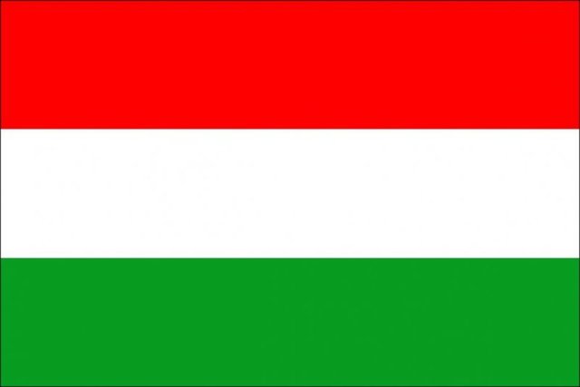 MACARİSTAN  - Recep Tayyip Erdoğan: 52,57 % - 143 - Ekmeleddin Mehmet İhsanoğlu: 35,29 % - 96  - Selahattin Demirtaş: 12,13 % - 33