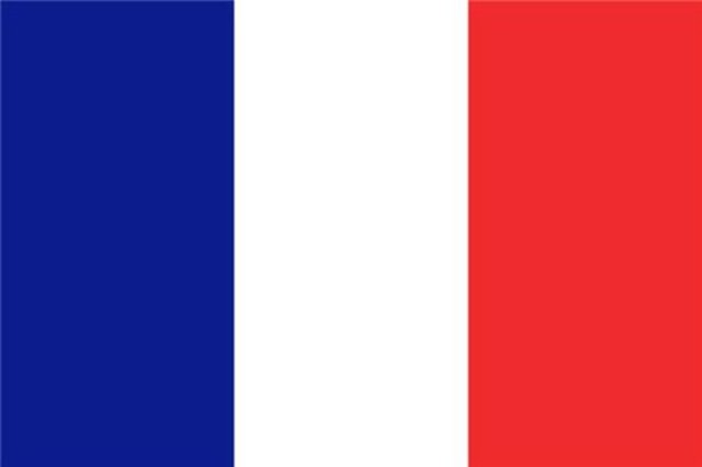 FRANSA  - Recep Tayyip Erdoğan:66,74 % - 8.543  - Ekmeleddin Mehmet İhsanoğlu: 19,40 % - 2.483 - Selahattin Demirtaş: 19,00% - 2.432