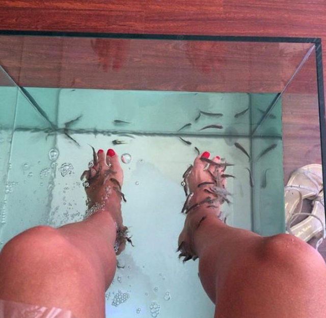 Dilara Öztunç'un Twitter fotoğrafları