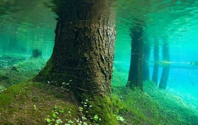 Green Lake, Hocschwab Dağları - Avusturya