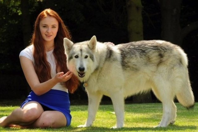 Turner'ın annesi, gerçek adı Zunni olan köpeğin oynadığı karakter dizide öldükten sonra dizi yapımcılarını ikna etmiş ve bundan sonra Turner'ın olmuş.