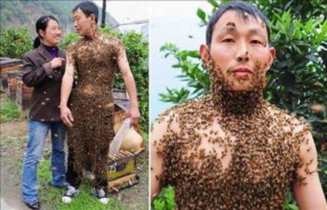 Çin'de arıcılık yapan 40 yaşındaki Wang Dalin, vücudunda 50.000 arı ile dolaşıyor.