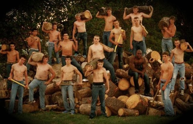 Oduncu:  2022'ye kadar oduncu sayısında yüzde 9 azalma olacak.