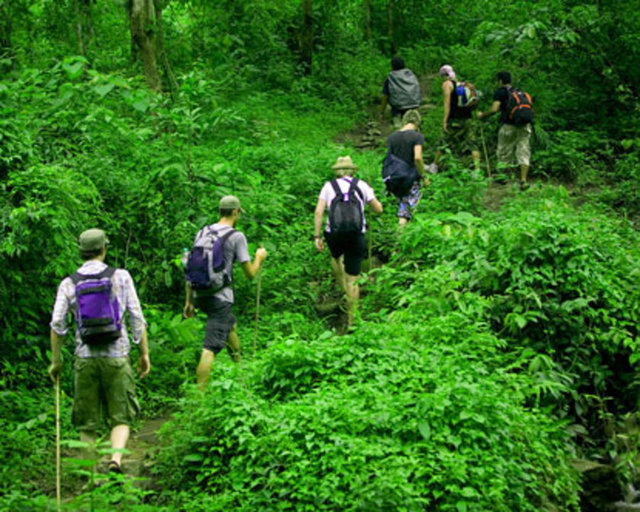 Yeşil bir doğada yapılan yürüyüş ile vücudunuza giren oksijen artar ve maksimumda fayda elde edersiniz.